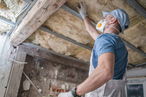 Best Types of Insulation in Reynolds Heights, PA